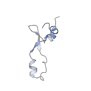 4379_6gc0_3_v1-1
50S ribosomal subunit assembly intermediate state 4