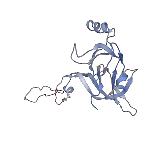 4379_6gc0_D_v1-1
50S ribosomal subunit assembly intermediate state 4