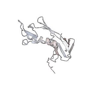 4379_6gc0_G_v1-1
50S ribosomal subunit assembly intermediate state 4