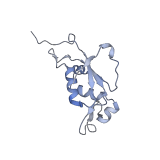 4379_6gc0_J_v1-1
50S ribosomal subunit assembly intermediate state 4