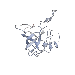 4379_6gc0_K_v1-1
50S ribosomal subunit assembly intermediate state 4