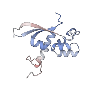 4379_6gc0_N_v1-1
50S ribosomal subunit assembly intermediate state 4