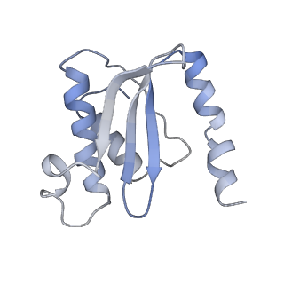 4379_6gc0_O_v1-1
50S ribosomal subunit assembly intermediate state 4