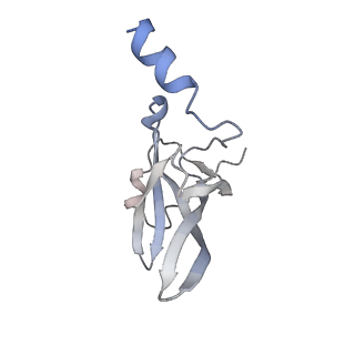 4379_6gc0_P_v1-1
50S ribosomal subunit assembly intermediate state 4