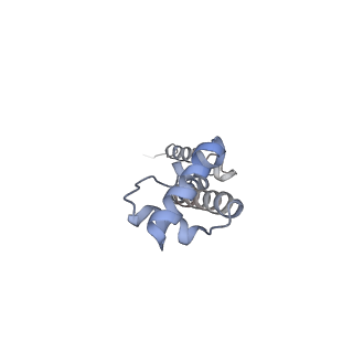 4379_6gc0_Q_v1-1
50S ribosomal subunit assembly intermediate state 4