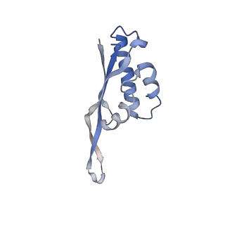 4379_6gc0_S_v1-1
50S ribosomal subunit assembly intermediate state 4