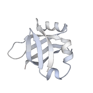 4379_6gc0_V_v1-1
50S ribosomal subunit assembly intermediate state 4