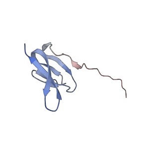 4379_6gc0_W_v1-1
50S ribosomal subunit assembly intermediate state 4