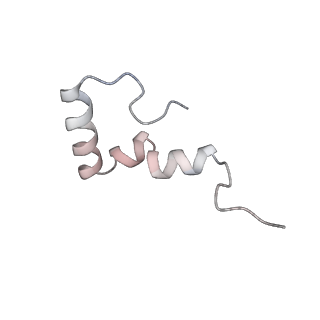4380_6gc4_2_v1-1
50S ribosomal subunit assembly intermediate state 3