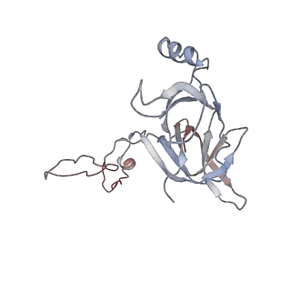 4380_6gc4_D_v1-1
50S ribosomal subunit assembly intermediate state 3