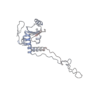 4380_6gc4_E_v1-1
50S ribosomal subunit assembly intermediate state 3