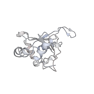4380_6gc4_F_v1-1
50S ribosomal subunit assembly intermediate state 3