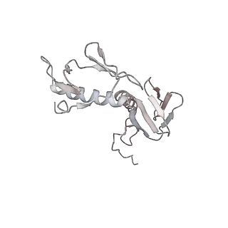 4380_6gc4_G_v1-1
50S ribosomal subunit assembly intermediate state 3