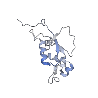 4380_6gc4_J_v1-1
50S ribosomal subunit assembly intermediate state 3