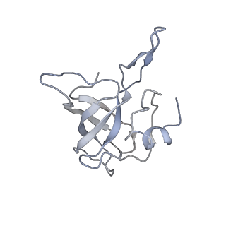 4380_6gc4_K_v1-1
50S ribosomal subunit assembly intermediate state 3