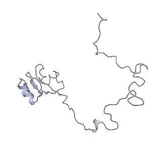 4380_6gc4_L_v1-1
50S ribosomal subunit assembly intermediate state 3