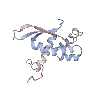 4380_6gc4_N_v1-1
50S ribosomal subunit assembly intermediate state 3