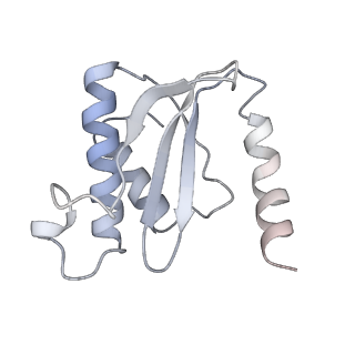 4380_6gc4_O_v1-1
50S ribosomal subunit assembly intermediate state 3