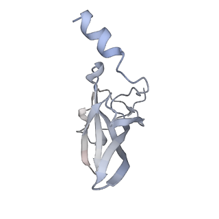 4380_6gc4_P_v1-1
50S ribosomal subunit assembly intermediate state 3
