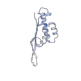 4380_6gc4_S_v1-1
50S ribosomal subunit assembly intermediate state 3
