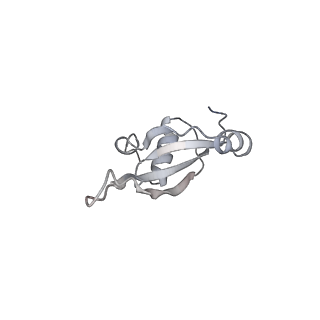 4380_6gc4_T_v1-1
50S ribosomal subunit assembly intermediate state 3