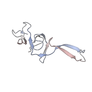 4380_6gc4_U_v1-1
50S ribosomal subunit assembly intermediate state 3