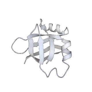 4380_6gc4_V_v1-1
50S ribosomal subunit assembly intermediate state 3