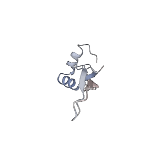 4380_6gc4_X_v1-1
50S ribosomal subunit assembly intermediate state 3