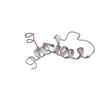 4380_6gc4_Y_v1-1
50S ribosomal subunit assembly intermediate state 3