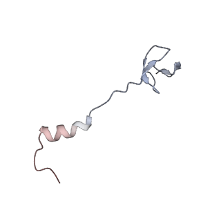 4381_6gc6_0_v1-1
50S ribosomal subunit assembly intermediate state 2