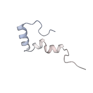 4381_6gc6_2_v1-1
50S ribosomal subunit assembly intermediate state 2