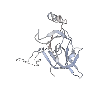 4381_6gc6_D_v1-1
50S ribosomal subunit assembly intermediate state 2