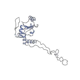 4381_6gc6_E_v1-1
50S ribosomal subunit assembly intermediate state 2