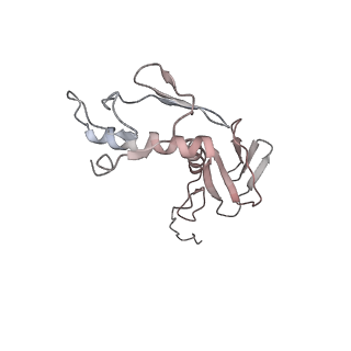 4381_6gc6_G_v1-1
50S ribosomal subunit assembly intermediate state 2