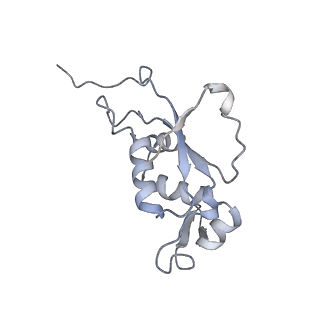 4381_6gc6_J_v1-1
50S ribosomal subunit assembly intermediate state 2