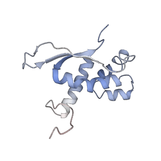 4381_6gc6_N_v1-1
50S ribosomal subunit assembly intermediate state 2