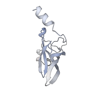 4381_6gc6_P_v1-1
50S ribosomal subunit assembly intermediate state 2