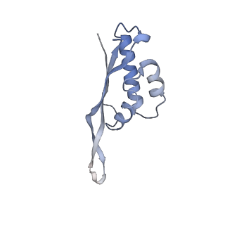 4381_6gc6_S_v1-1
50S ribosomal subunit assembly intermediate state 2