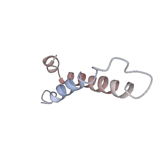 4381_6gc6_Y_v1-1
50S ribosomal subunit assembly intermediate state 2