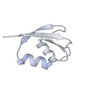 4381_6gc6_Z_v1-1
50S ribosomal subunit assembly intermediate state 2