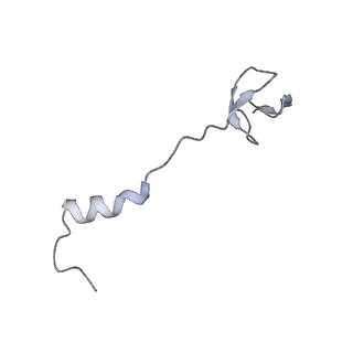 4382_6gc7_0_v1-1
50S ribosomal subunit assembly intermediate state 1
