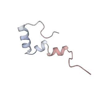 4382_6gc7_2_v1-1
50S ribosomal subunit assembly intermediate state 1
