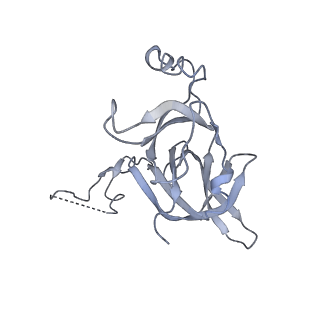 4382_6gc7_D_v1-1
50S ribosomal subunit assembly intermediate state 1