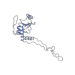 4382_6gc7_E_v1-1
50S ribosomal subunit assembly intermediate state 1