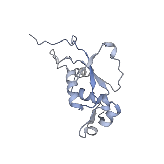 4382_6gc7_J_v1-1
50S ribosomal subunit assembly intermediate state 1