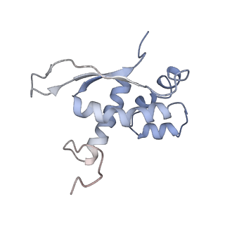 4382_6gc7_N_v1-1
50S ribosomal subunit assembly intermediate state 1