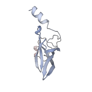 4382_6gc7_P_v1-1
50S ribosomal subunit assembly intermediate state 1