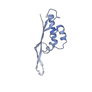 4382_6gc7_S_v1-1
50S ribosomal subunit assembly intermediate state 1