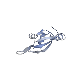 4382_6gc7_T_v1-1
50S ribosomal subunit assembly intermediate state 1