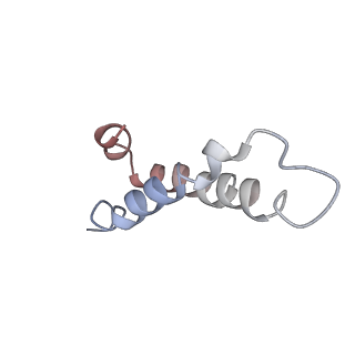 4382_6gc7_Y_v1-1
50S ribosomal subunit assembly intermediate state 1